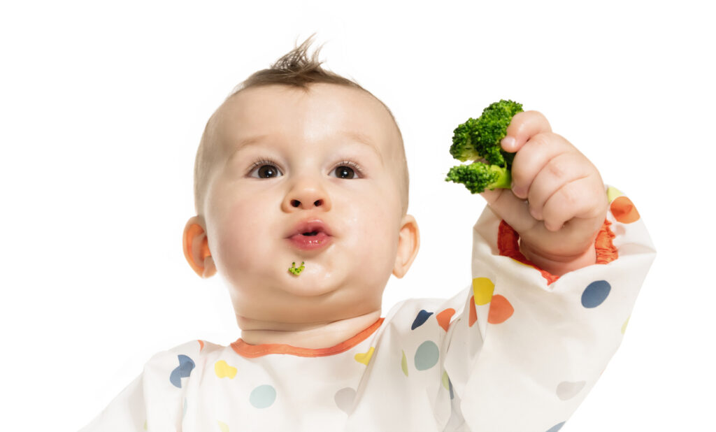 Baby-Led Weaning Audiobook on
