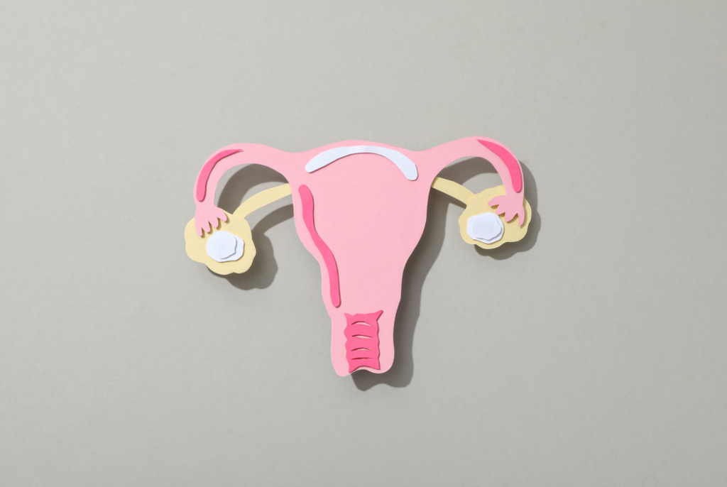 paper cut out of a uterus