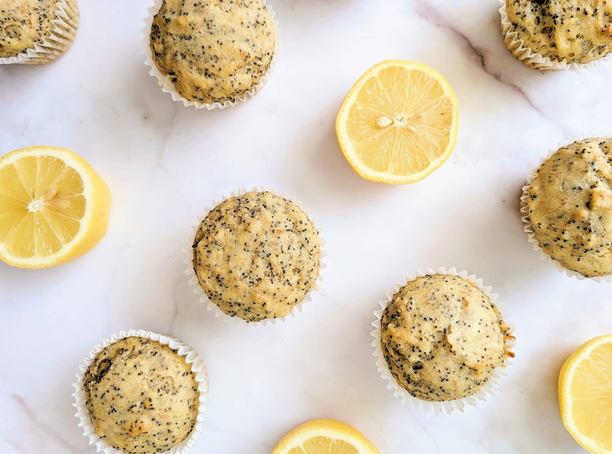 top down view of lemon poppyseed protein muffins