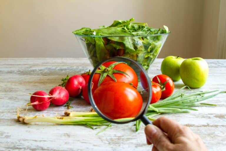 should parents worry about the dirty dozen list - magnifying glass over top of a tomato and other produce