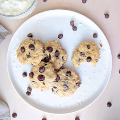 beauty shot top down of cottage cheese cookies for kids on a plate